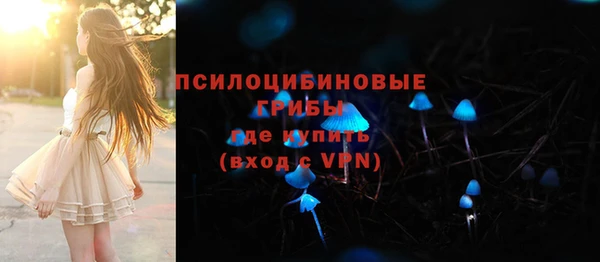 СК Богородск