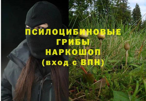 СК Богородск