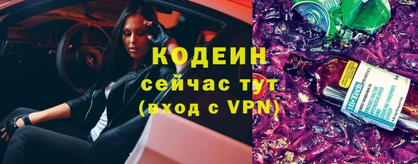 СК Богородск