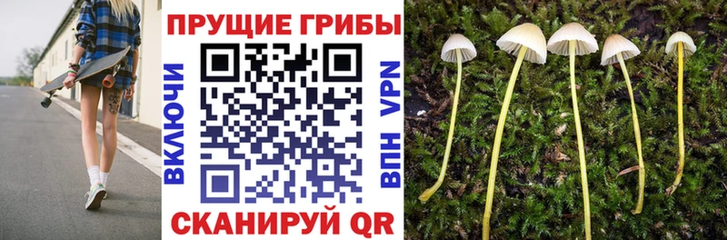 Галлюциногенные грибы прущие грибы  блэк спрут зеркало  Красноперекопск  купить наркотик 